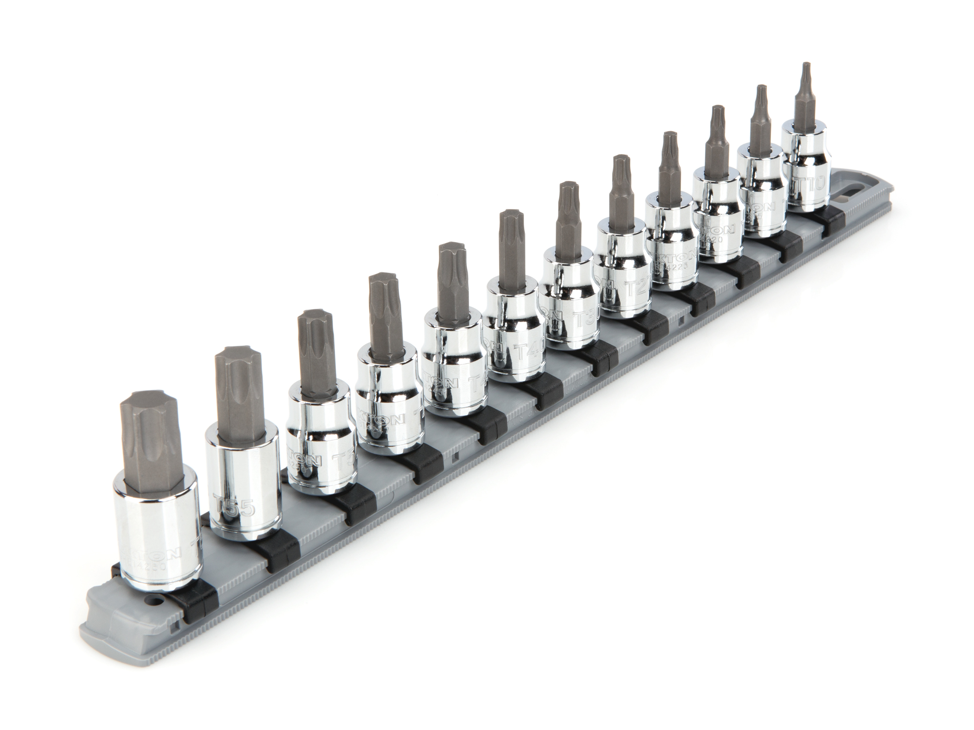 TEKTON 3/8 Inch Drive Torx Bit Socket Set with Rail, 12-Piece (T10-T60)