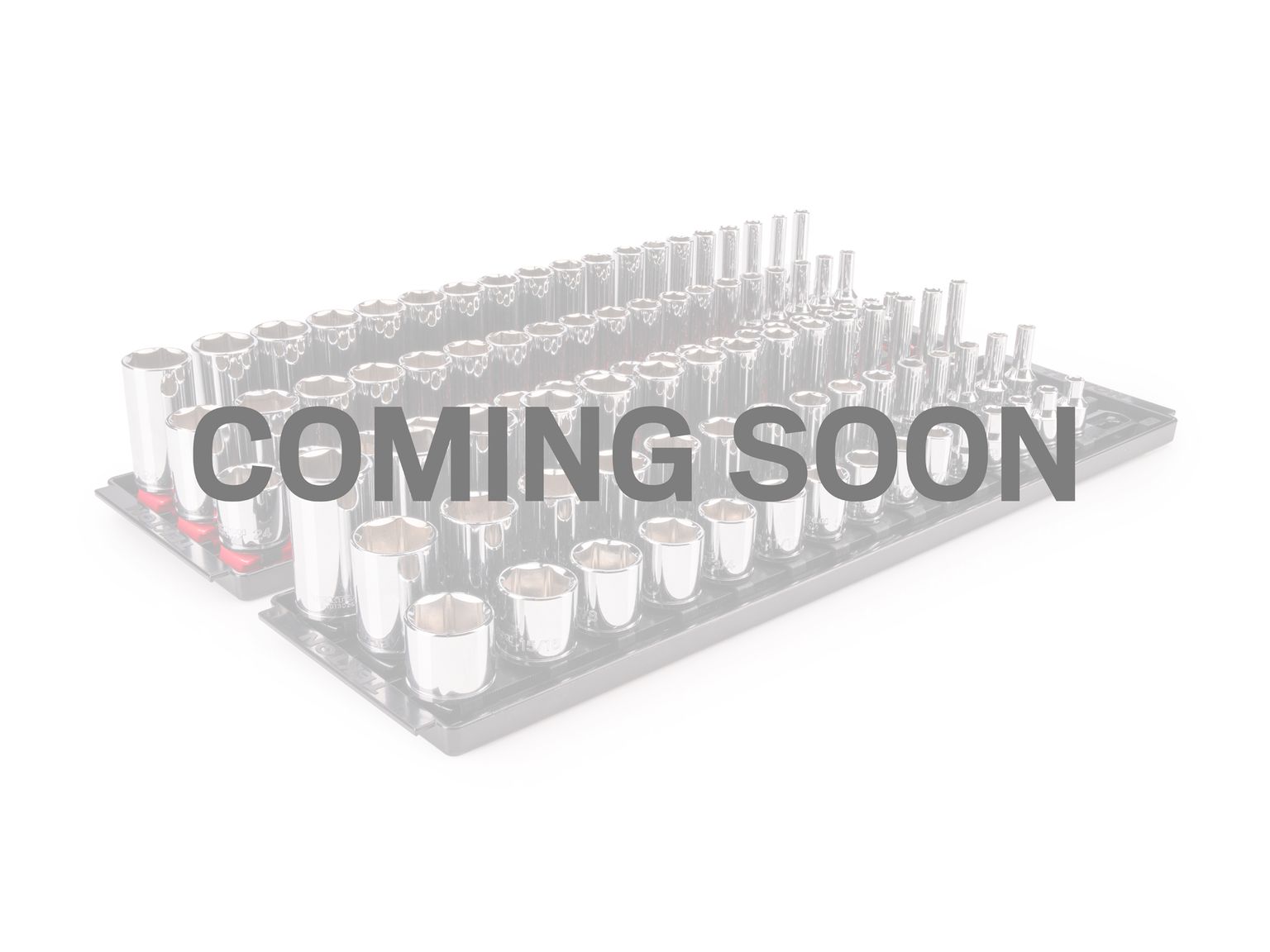 TEKTON 3/8 Inch Drive Shallow, Semi-Deep, and Deep 6-Point Socket Set with Rails and Trays, 102-Piece (1/4 - 1 in., 6 - 24 mm)