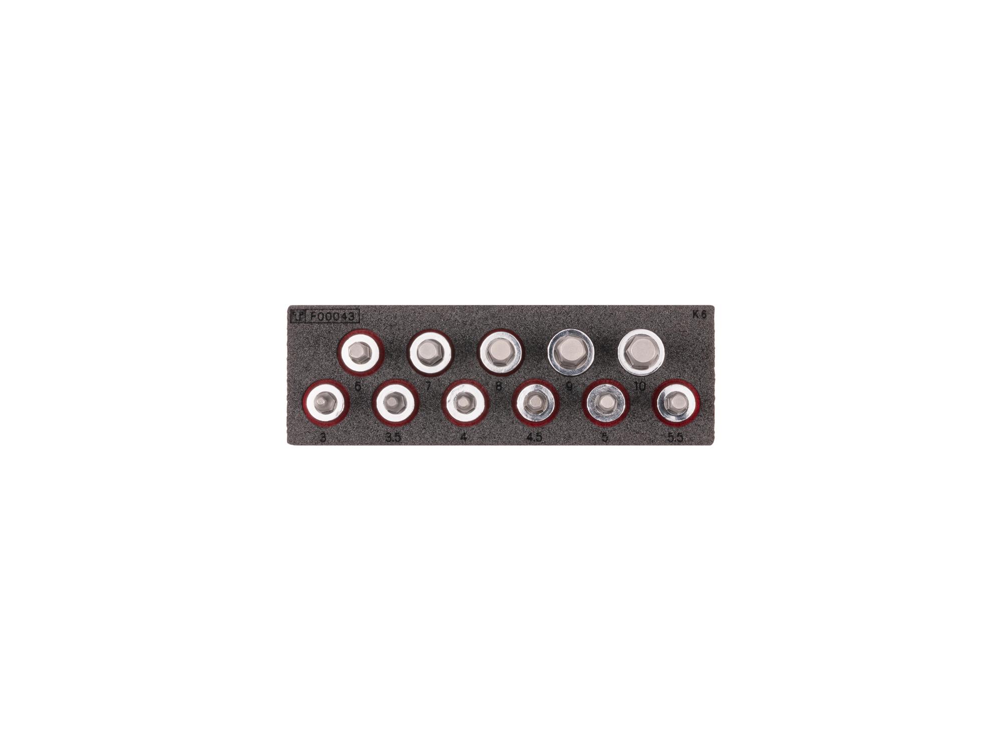 Hex Bit Socket Set with 6 x 2 Inch Foam Organizer (11-Piece)