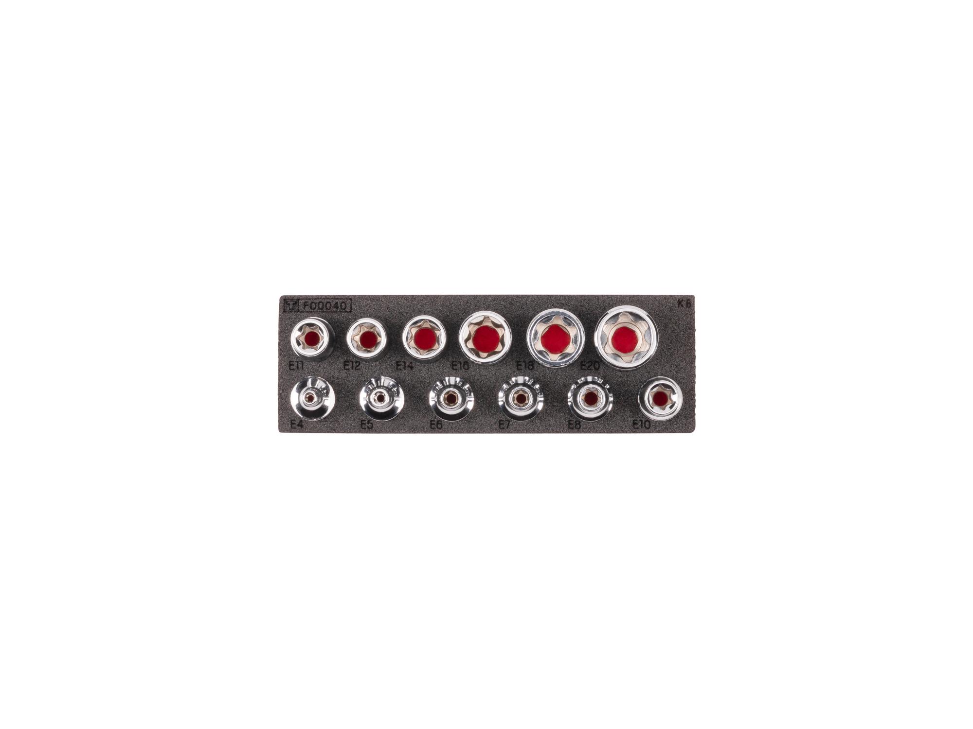 Shallow External Star Socket Set with 6 x 2 Inch Foam Organizer (12-Piece)