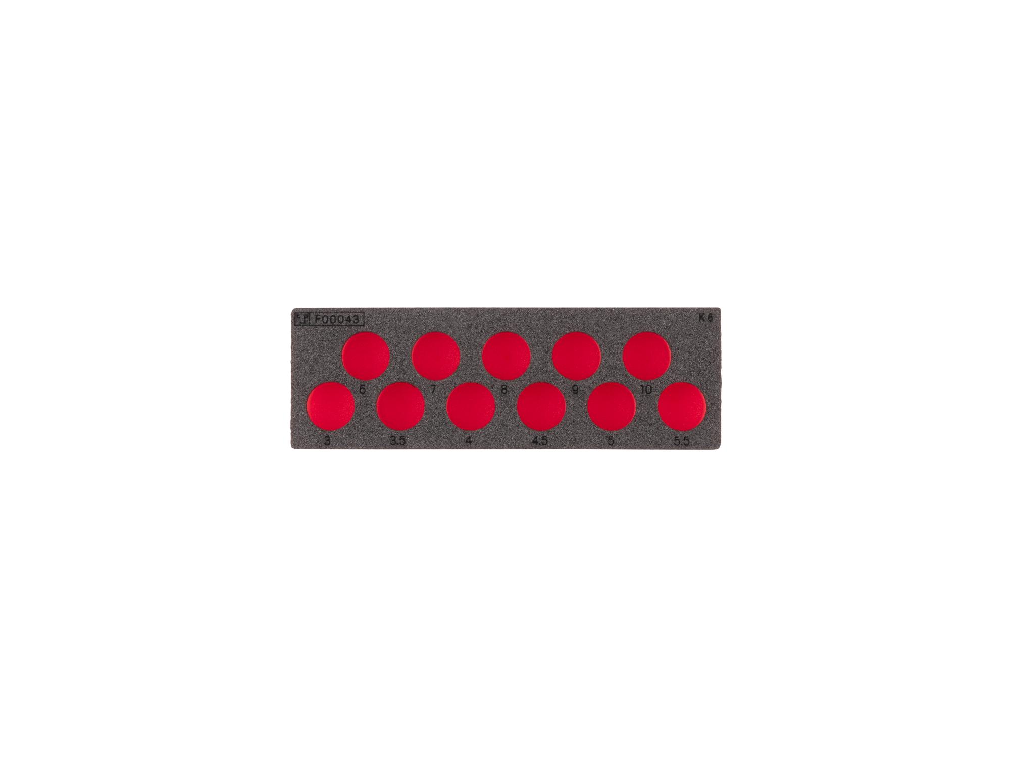Hex Bit Socket Set Foam Organizer, 6 x 2 Inch (11-Tool)