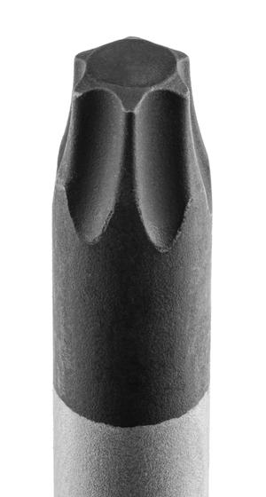 Close-up of Torx screwdriver tip