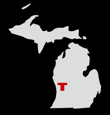 Made In Michigan