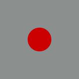 Tactical Gray/Red (interior)